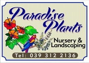 Paradise Plants & Landscaping